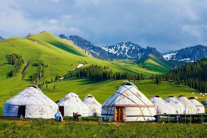 Mongolian Steppe